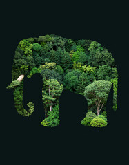 An elephant silhouette filled with lush green trees and foliage, symbolizing nature and conservation.