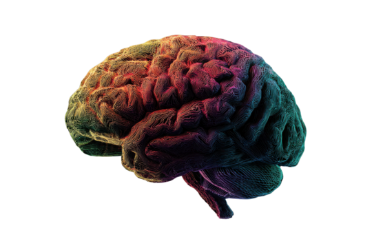 Colorful textured human brain with cerebellum on black background anatomy science, Isolated On Transparent Background, Png Cut Out