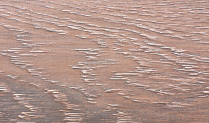 Dark oak, polished natural wood surface with a close-up natural grain pattern.