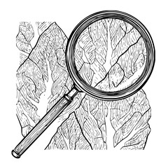 Unlock the secrets hidden in plain sight: a magnifying glass adventure you won't want to miss today