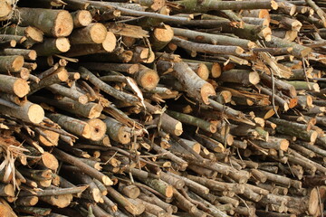 stack of firewood
