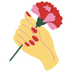Female hand with pink carnation flower isolated vector illustration on white background