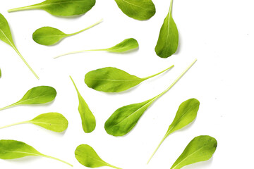 Fresh green Arugula on white background.