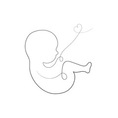 Baby in Womb with Umbilical Cord Line Art Illustration