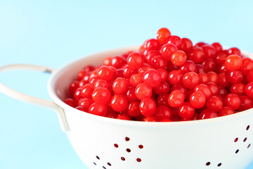 Colander with fresh viburnum berries on blue background, closeup