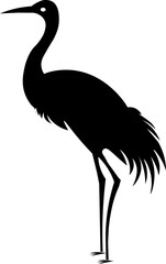 Fototapeta premium Black Peacock Silhouette Vector Icon Isolated on White Background , black bird silhouette , vector bird silhouette