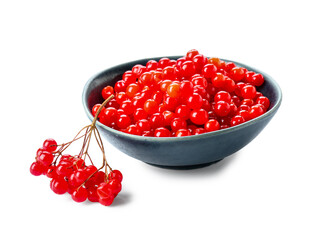 Blue bowl with fresh viburnum berries on white background
