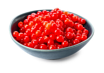 Blue bowl with fresh viburnum berries on white background