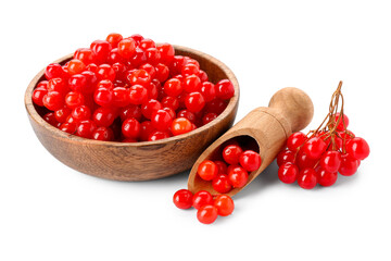 Wooden bowl and scoop with fresh viburnum berries on white background