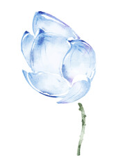 Delicate Blue Watercolor Flower Bud with Green Stem