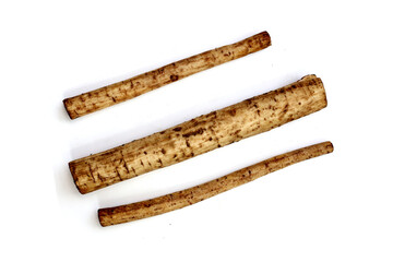 Fresh burdock roots or gobo roots