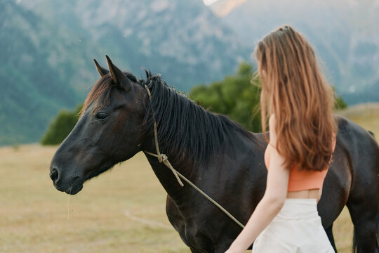 A young woman stands beside a dark horse in an open field under warm sunlight, gently touching the animal while both gaze toward a distant landscape, creating a peaceful, natural moment. - Powered by Adobe