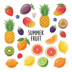 Summer fruit collection featuring vibrant illustrations of various fruits on a white background
