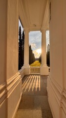 Symmetrical view framed by white portico columns, leading to a sunlit grassy alley and tall evergreen trees at golden hour, casting long shadows