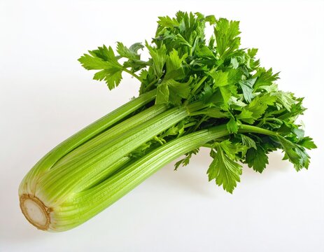 Celery stalk with leafy green top, isolated on white