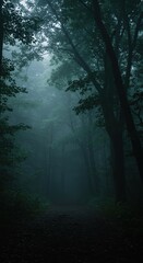 Fototapeta premium Deep, ancient woodland enveloped in a mysterious fog, illuminated by a soft, otherworldly glow, evoking wonder and magic ,atmospheric ,trees ,silence
