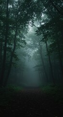Fototapeta premium Deep, ancient woodland enveloped in a mysterious fog, illuminated by a soft, otherworldly glow, evoking wonder and magic ,trees ,growth ,environment