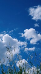 Shining Ray of Heaven’s Warm Embrace