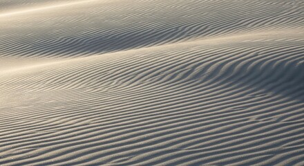 Abstract pattern of sand dunes sculpted by wind, showcasing natural textures and soft light in a desert landscape