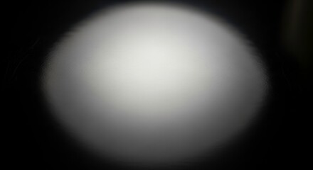 A soft, outoffocus spotlight illuminates a dark background