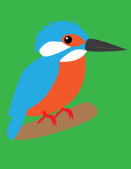A vector art of a kingfisher bird. 