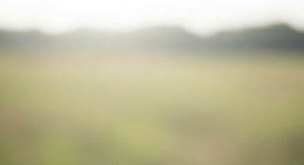 Out of focus landscape with soft green field and blurred trees under a bright sky