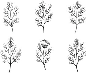 Dill sprig outline icons set vector line art. Simple herb food sketch collection.