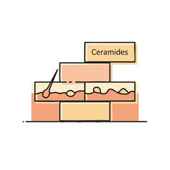 A simple illustration depicts the vital role of ceramides in maintaining healthy skin by forming a protective barrier against external factors and moisture loss.