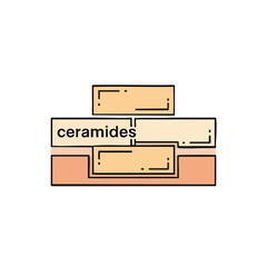 This illustration depicts the role of ceramides in skin health, showing how they help to maintain the skin's barrier and prevent moisture loss effectively.