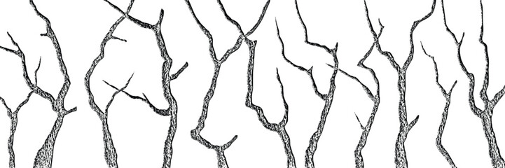 Silhouette of dry trees, tree trunks and branches isolated on white background, hand drawing, natural background, banner