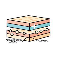 A diagram illustrates how active moisture locking and ceramide work to hydrate and protect the skin, showing the layers and processes involved in skincare.