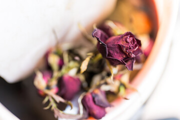 Withered and dried roses in a garbage bin