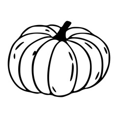 pumpkin outline vector illustration for autumn