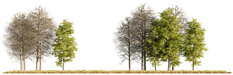 A collection of realistic 3D rendered trees showing both leafy and bare seasonal forms, isolated on a white background for visualization and design use