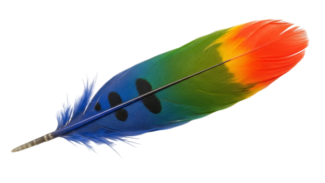 Vibrant tropical bird plumage displays a striking gradient of natural colors against a dark background