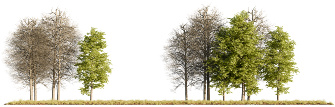 A collection of realistic 3D rendered trees showing both leafy and bare seasonal forms, isolated on a white background for visualization and design use