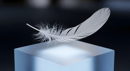 A close-up image of a delicate white feather resting on a smooth, illuminated surface against a dark background, highlighting its intricate details and soft texture
