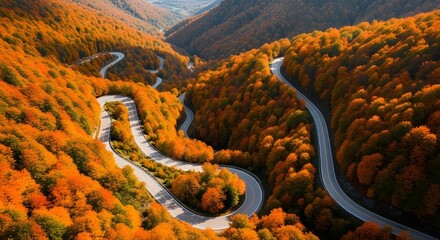 Aerial view of a winding mountain road through a vibrant forest ablaze with the warm colors of autumn foliage during the day
