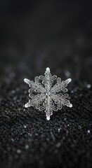 A close-up photograph of a delicate, intricate snowflake resting on a dark, textured surface, showcasing its symmetrical crystal patterns and icy structure