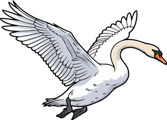 Obraz premium pure white swan ascends, a serene emblem of graceful journeys and boundless skies, isolated on transparent background