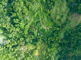 Aerial view of a rural area in the mountainous region with humid tropical forest on a warm morning in the province of Limón in Costa Rica