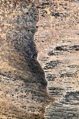 Smooth Granite Close-Up — Pink, Orange, and Dark Speckled Stone Texture