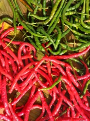 Drying Red and green chili peppers