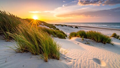 Golden Hour Sunset Over Sandy Beach Dunes With Tall Grass.
