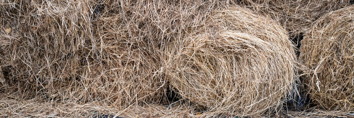 Orchard grass hay feed for farm livestock and domestic animals, small rolls of bailed and stacked for storage and sale
