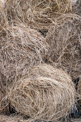 Orchard grass hay feed for farm livestock and domestic animals, small rolls of bailed and stacked for storage and sale
