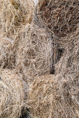 Orchard grass hay feed for farm livestock and domestic animals, small rolls of bailed and stacked for storage and sale
