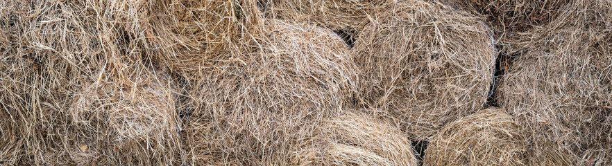 Orchard grass hay feed for farm livestock and domestic animals, small rolls of bailed and stacked for storage and sale
