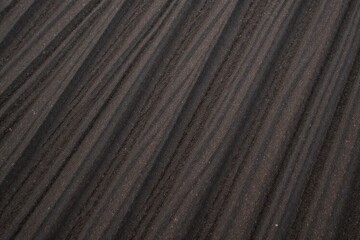 Macro photography of natural textures such as wood grain, stone surfaces, and leaf veins, highlighting intricate details and organic patterns. Extreme macro photograph of the intricate, swirling grain