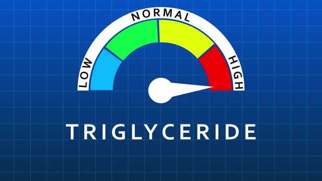Triglyceride Level Gauge Showing High Range on Blue Grid Background lipid meter